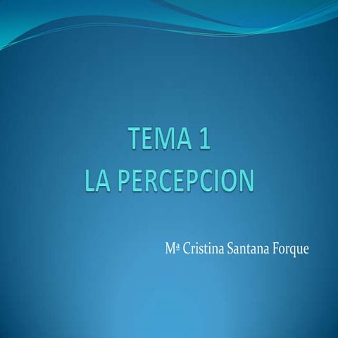 TEMA 1 PERCEPCIÓN VISUAL