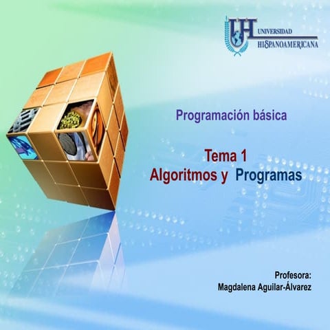 Tema1