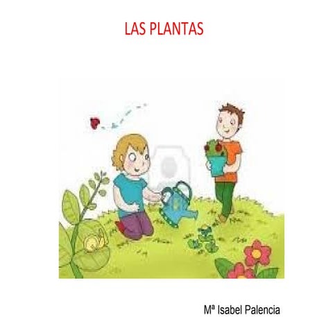 Quinto curso. Ciencias Naturales. Tema 1. Las plantas.