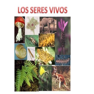 Tema1. los seres vivos.