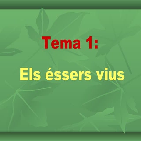 Tema1 3