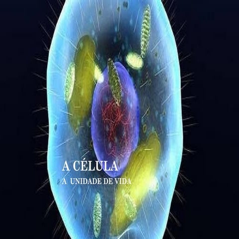 Tema 1  a célula