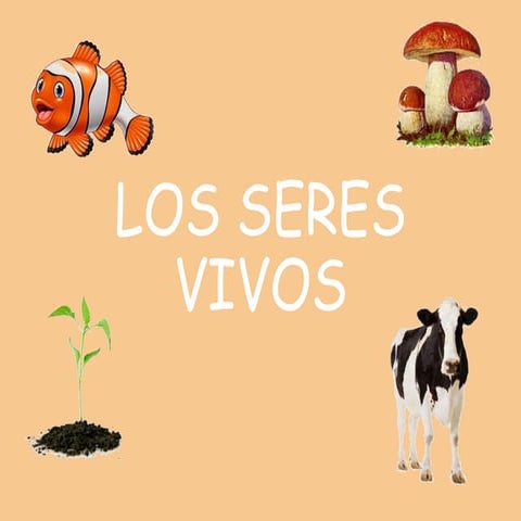 Tema 1 - Los seres vivos