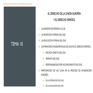 Tema 10_2023.pdf de derecho de la unión europea | PDF
