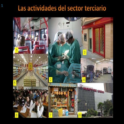 Sector Terciario