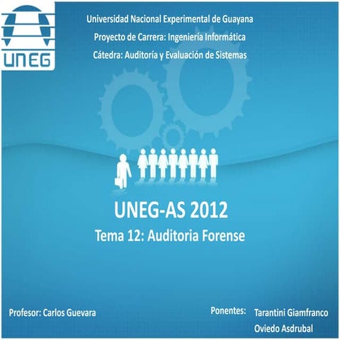 UNEG-AS 2012-Pres12: Auditoría Forense