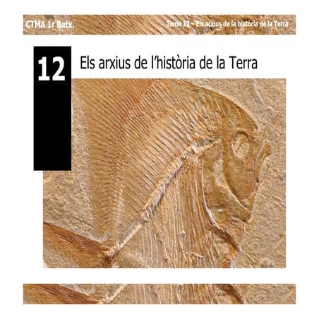 Tema 12   els arxius de la història de la terra