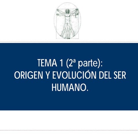 El ser humano. Origen y evolución (II)