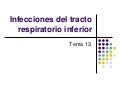 Tracto respiratorio