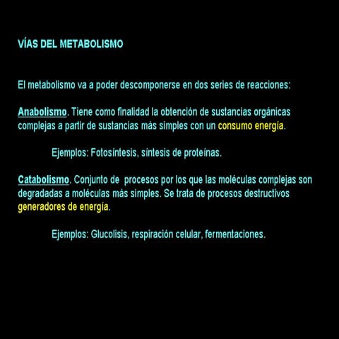 Tema 13 anabolismo