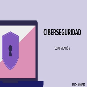 Tema 13 Ciberseguridad.pptx