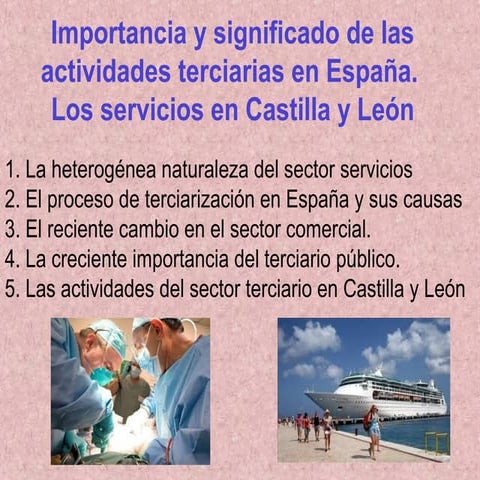 Tema14 el sector terciario en España