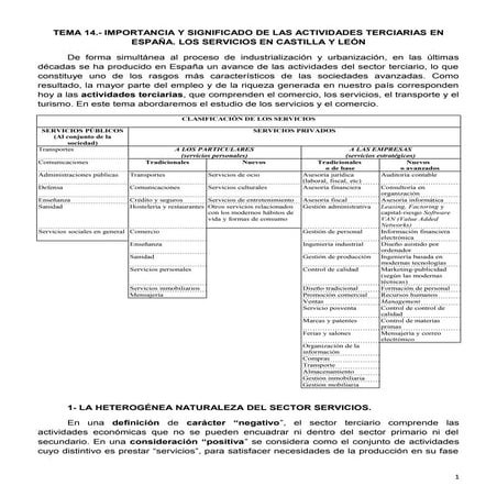 Tema14  IMPORTANCIA Y SIGNIFICADO DE LAS ACTIVIDADES TERCIARIAS EN ESPAÑA. LO...