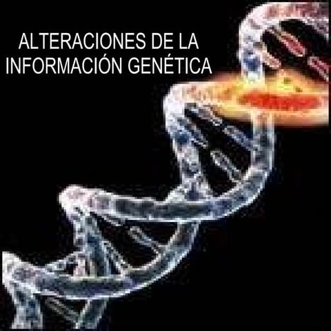 Tema 17 alteraciones de la informacion genetica