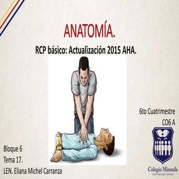 RCP básico | PPT