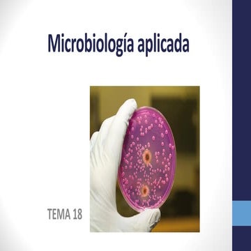 Tema 18. Microbiología Aplicada 2025.pdf