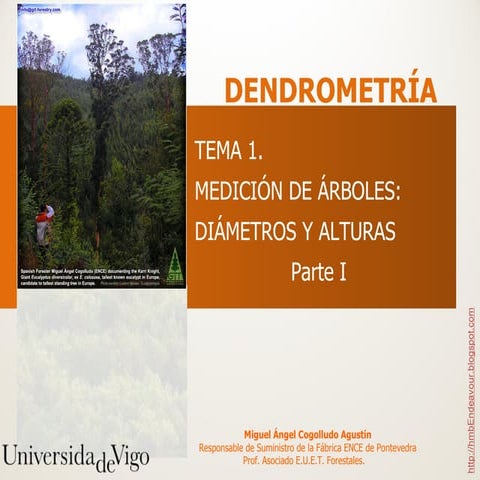 Medición de Diámetros y Alturas. Parte I