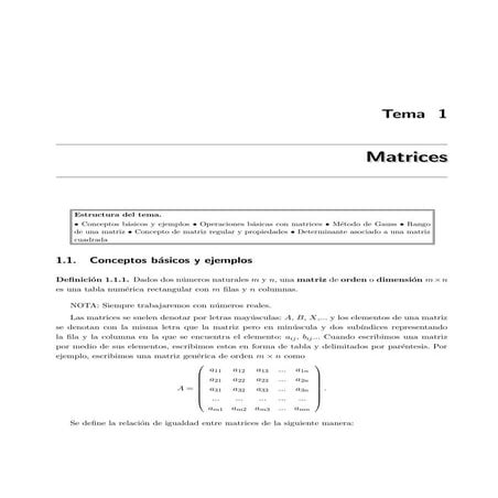 Teoría de matrices | PDF