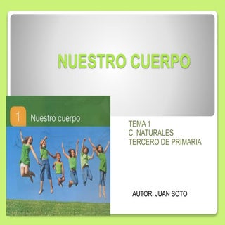 Tema 1 cuerpo humano