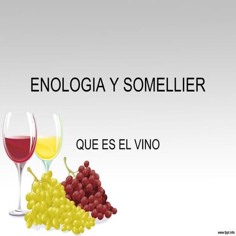 Tema 1 introduccion que es el vino