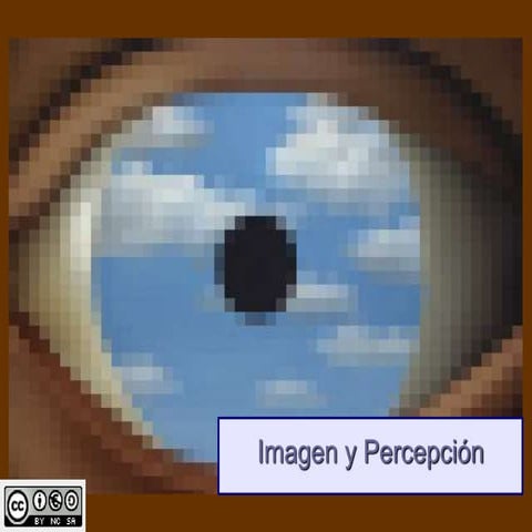 Imagen y Percepción