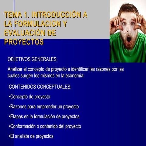 Tema 1  proyectos