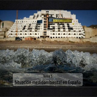 Tema 2.5. La situación medioambient...