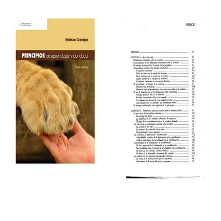 Tema 6. TERAPIAS 3RA generación.pdf