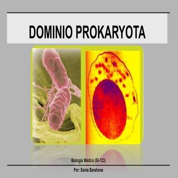 TEMA 2.1 PROCARIOTAS.pdf