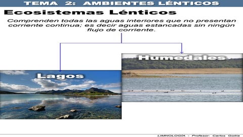 Ecosistema lótico PPT