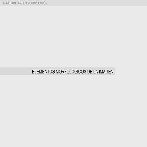 TEMA 2.- ELEMENTOS MORFOLÓGICOS DE LA IMAGEN -