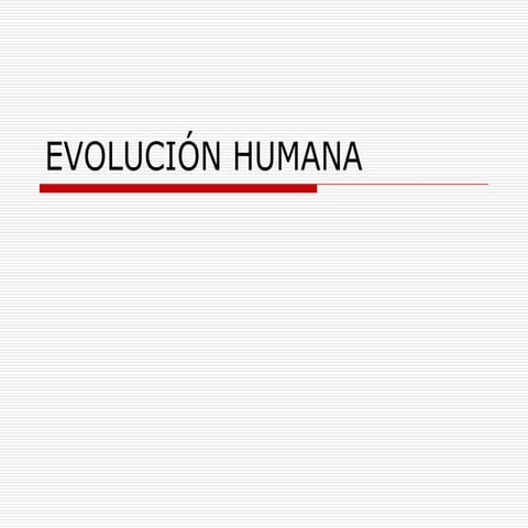    Evolución humana