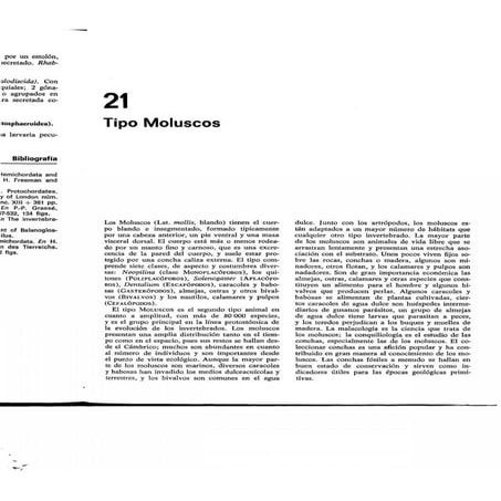 Tema 21 | PDF