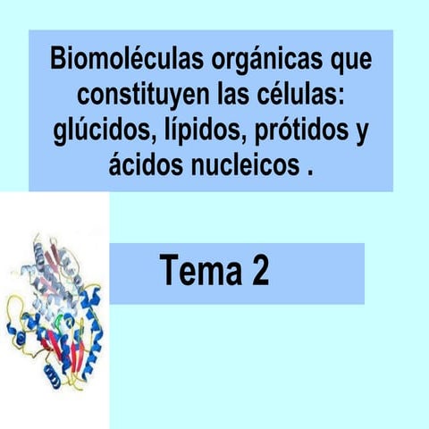 Tema 2 biomoléculas orgánicas protidos
