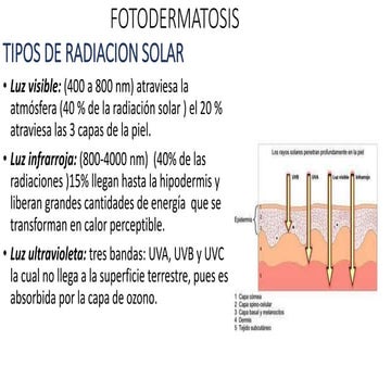 TEMA 2 FOTODERMATOSIS DERMATOLOGÍA CLÍNICA.pptx