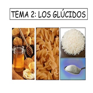 Tema 2 los glúcidos (2º BACHILLERATO)