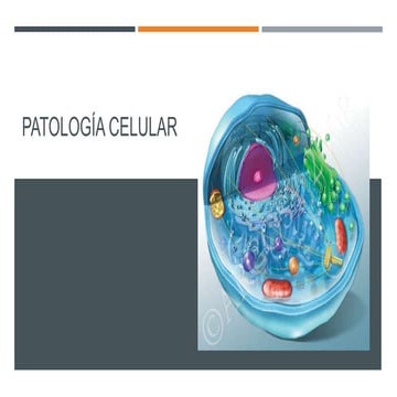 Tema 2 patología celular