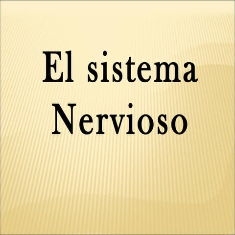 Tema 2 sistema nervioso