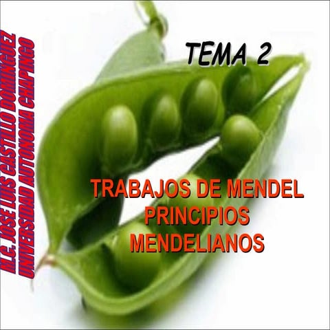 Tema 2 trabajos de mendel
