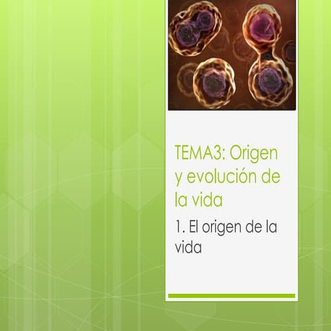 el origen de la vida | PPTX