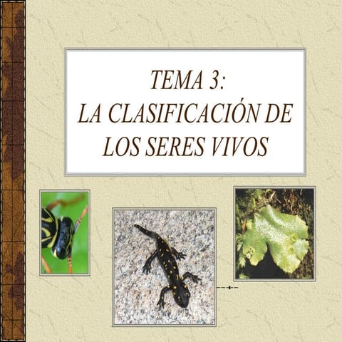 Tema 3 Clasificación de los seres vivos 2025.pdf