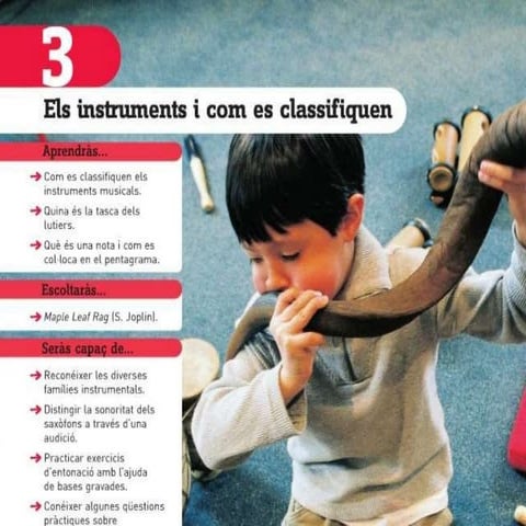 Tema 3 los instrumentos y su clasificación4