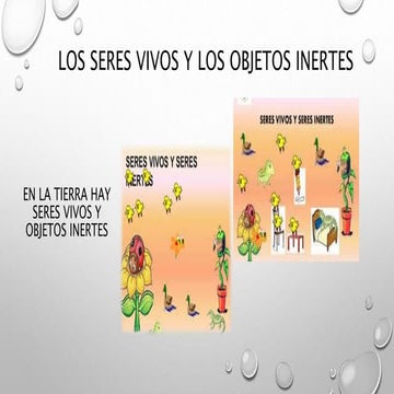 LOS SERES VIVOS Y LOS OBJETOS INERTES. | PPTX