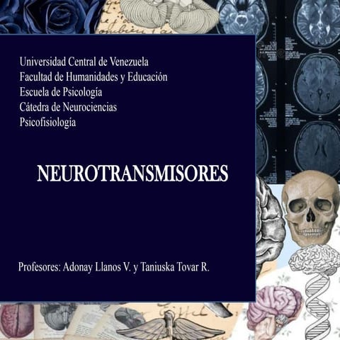 NEUROTRANSMISORES CLASE RESUMEN UNIVERSIDAD