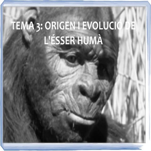 Tema 3: Origen i evolució de l'ésser humà