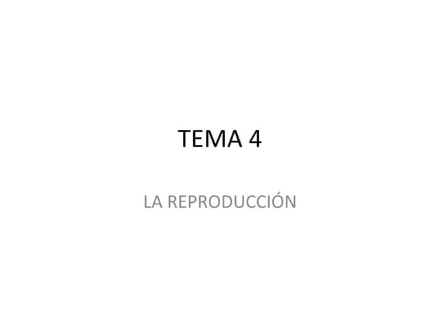 Tema 4