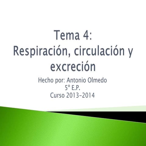 Tema 4. Respiración, circulación y excreción