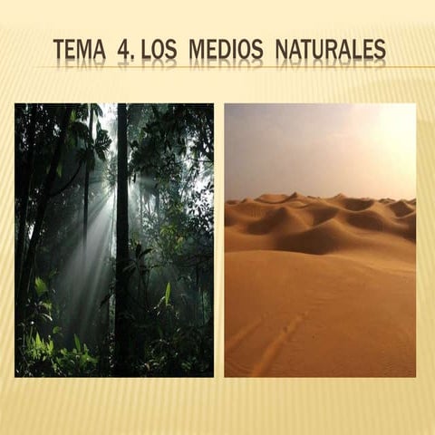 Tema  4. Los  medios  naturales