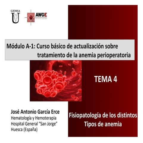 Tema 4. fisiopatología de la anemia