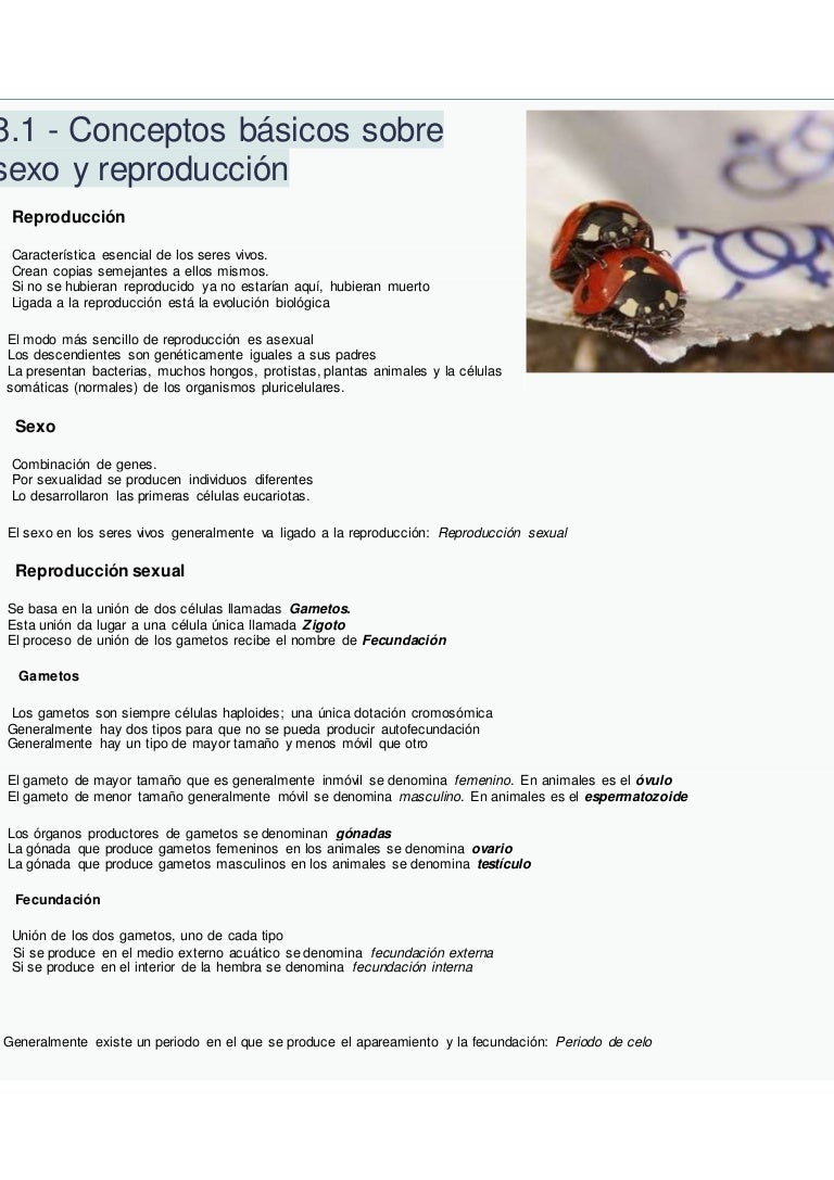 Cuanto Duran Los Espermatozoides Vivos En Un Preservativo Tema 4. ap. reproductor